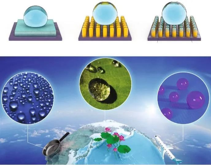 一种多功能超疏水织物的制备及应用