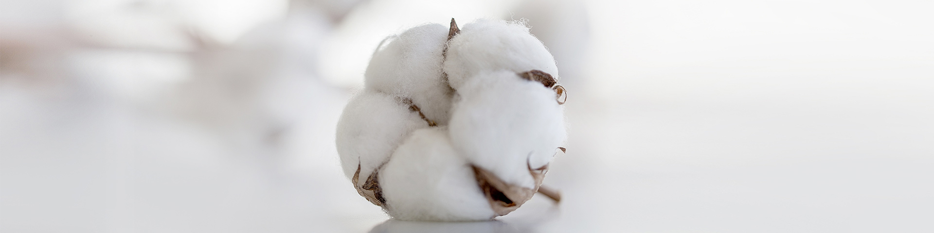 Jiuyou J9（中国）